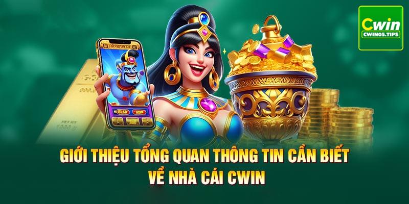 Sân chơi hoạt động từ năm 2004 và phát triển mạnh mẽ tại Việt Nam